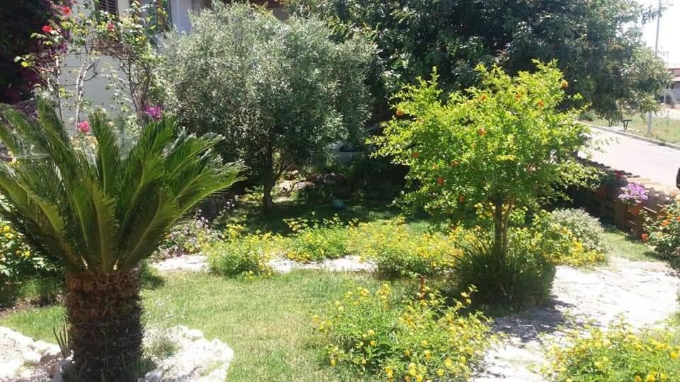 סרדרה B&B Ottoulivi מראה חיצוני תמונה