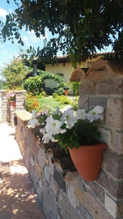 סרדרה B&B Ottoulivi מראה חיצוני תמונה