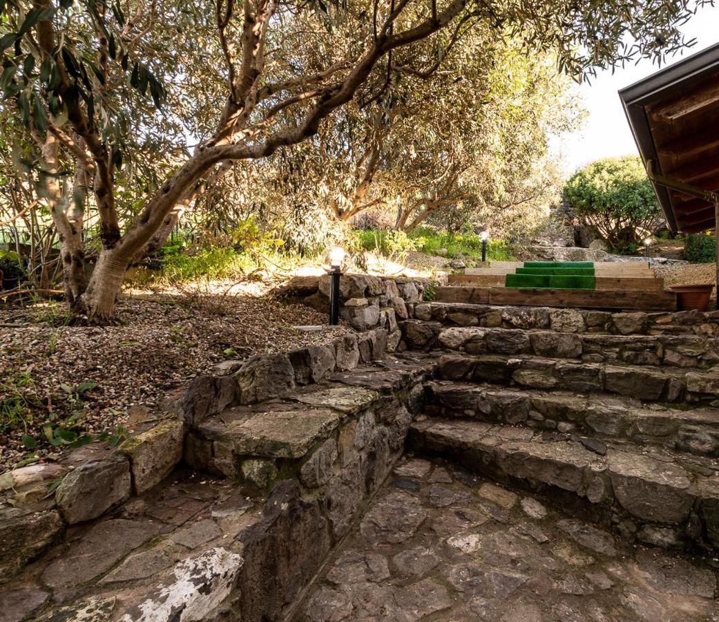 סרדרה B&B Ottoulivi מראה חיצוני תמונה