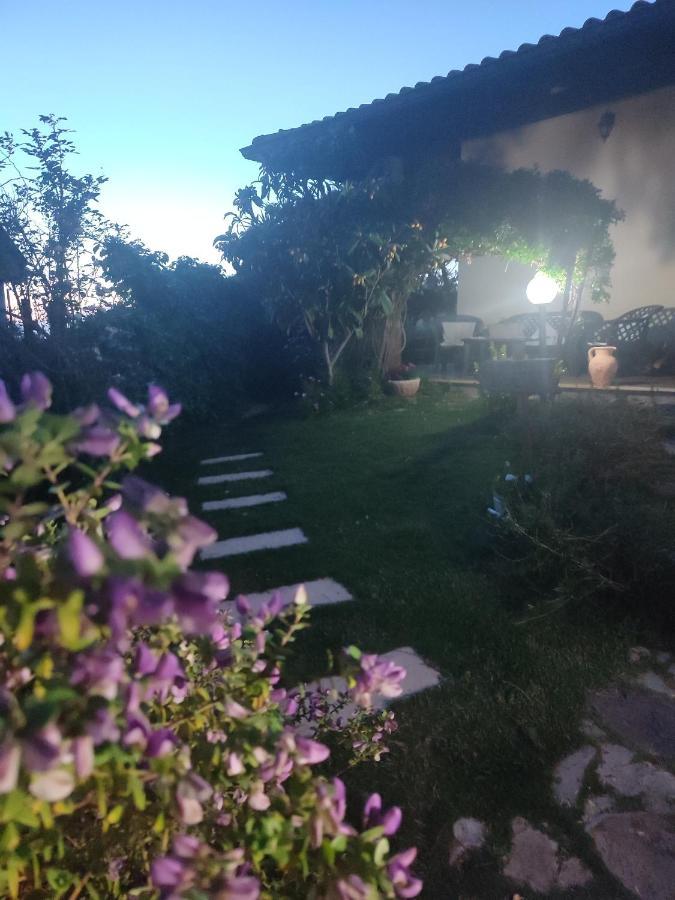 סרדרה B&B Ottoulivi מראה חיצוני תמונה